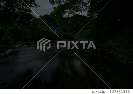 三重県 ホタルの舞う風景・夏イメージ 三重県 ホタルの舞う風景・夏イメージ 137881538