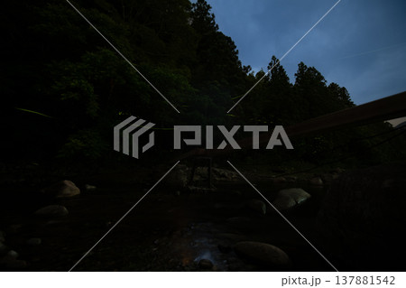 三重県 ホタルの舞う風景・夏イメージ 三重県 ホタルの舞う風景・夏イメージ 137881542