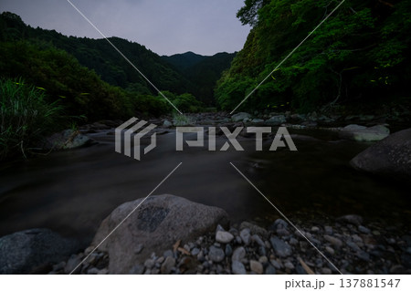 三重県　ホタルの舞う風景・夏イメージ 137881547