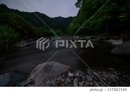 三重県 ホタルの舞う風景・夏イメージ 三重県 ホタルの舞う風景・夏イメージ 137881549