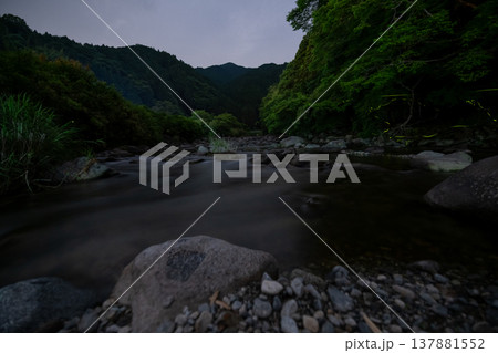 三重県 ホタルの舞う風景・夏イメージ 三重県 ホタルの舞う風景・夏イメージ 137881552