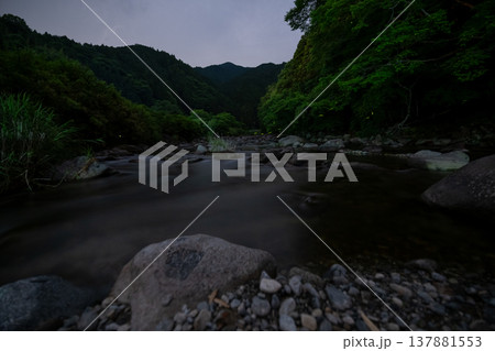 三重県 ホタルの舞う風景・夏イメージ 三重県 ホタルの舞う風景・夏イメージ 137881553