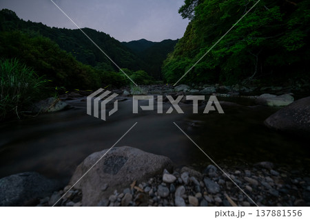 三重県 ホタルの舞う風景・夏イメージ 三重県 ホタルの舞う風景・夏イメージ 137881556