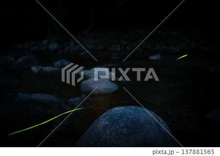 三重県　ホタルの舞う風景・夏イメージ 137881565