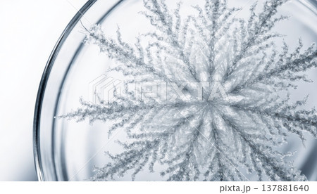 Close up of a decorative glitter snowflake ornament in glass 137881640