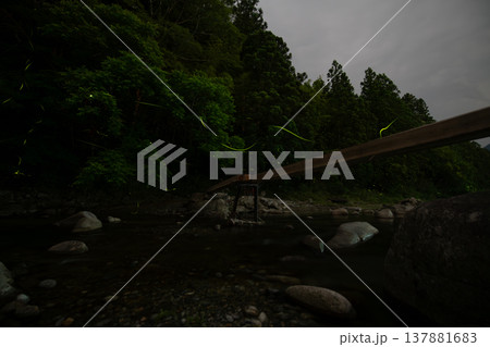 三重県　ホタルの舞う風景・夏イメージ 137881683