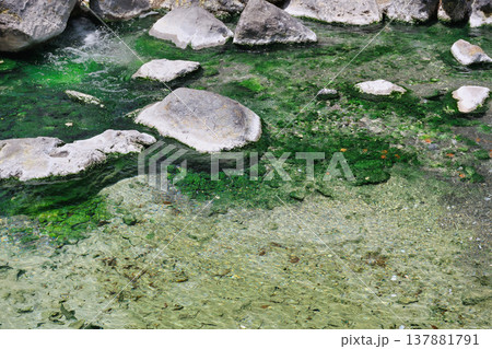草津温泉 西の河原公園(群馬県吾妻郡草津町) 草津温泉 西の河原公園(群馬県吾妻郡草津町) 137881791