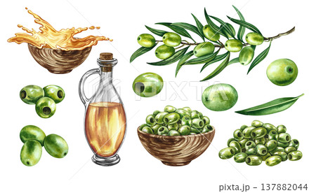 Set with green olives. Hand-drawn watercolor illustrations. An olive branch, a handful of olives, and oil. For labels, prints, and decor, as well as for packaging, banners, posters, and more. Set with green olives. Hand-drawn watercolor illustrations. An olive branch, a handful of olives, and oil. For labels, prints, and decor, as well as for packaging, banners, posters, and more. 137882044
