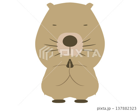 拝むビーバー 137882323