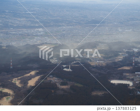 上から見るスギ花粉が飛散する様子（20260228065129） 137883125