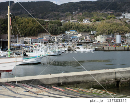 静岡県東伊豆町！稲取漁港と漁船 137883325