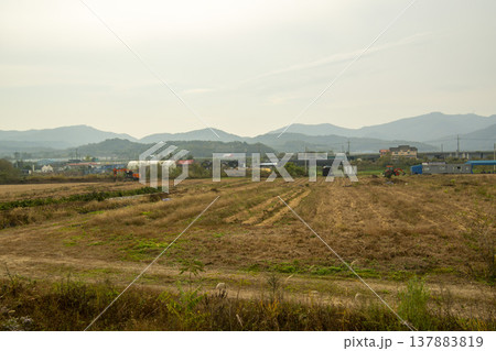Han River bike path Han River bike path 137883819
