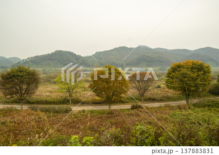 Han River bike path Han River bike path 137883831