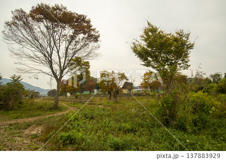Han River bike path Han River bike path 137883929