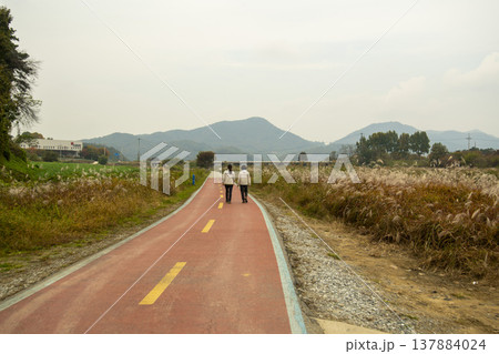 Han River bike path 137884024