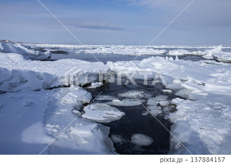 流氷浮かぶ羅臼の海 流氷浮かぶ羅臼の海 137884157
