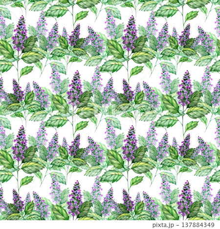 Seamless pattern featuring vibrant watercolor purple lilac blooms and leafy green branches on a white background. This rustic botanical design is ideal for nature-themed projects, textiles, and Seamless pattern featuring vibrant watercolor purple lilac blooms and leafy green branches on a white background. This rustic botanical design is ideal for nature-themed projects, textiles, and 137884349