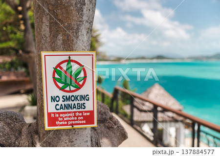 No smoking cannabis sign on tree near seaside viewpoint on Koh Samui Thailand No smoking cannabis sign on tree near seaside viewpoint on Koh Samui Thailand 137884577