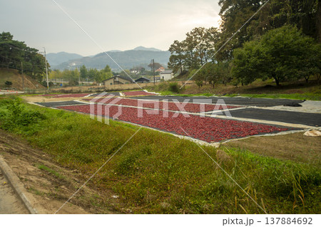 Han River bike path Han River bike path 137884692