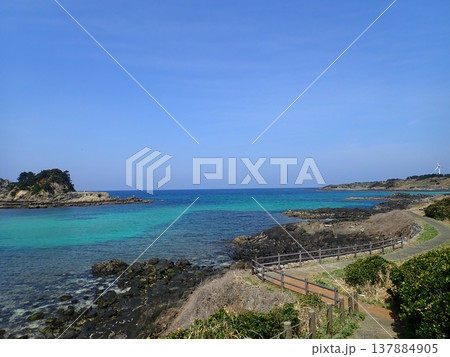 魚津ヶ崎公園　遊歩道をおさんぽ 137884905