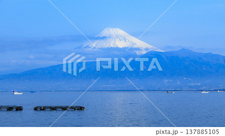 駿河湾越しで見る伊豆半島西伊豆の沼津市木負から見る冠雪した富士山　 137885105