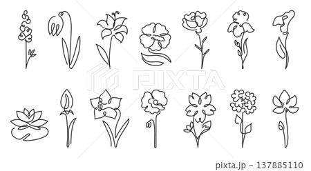 Flowers botanical blossom and floral flower rose with lily iris tulip. Lotus daffodil orchid and peony carnation pansy with hydrangea bloom botany nature. Plant flowers petals and garden. Flowers botanical blossom and floral flower rose with lily iris tulip. Lotus daffodil orchid and peony carnation pansy with hydrangea bloom botany nature. Plant flowers petals and garden. 137885110