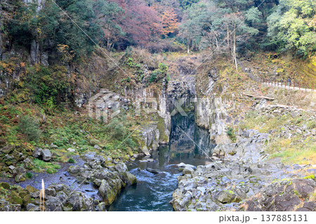 高千穂峡の屏風岩と柱状節理の断崖　宮崎県高千穂町 137885131