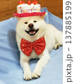 誕生日 137885199