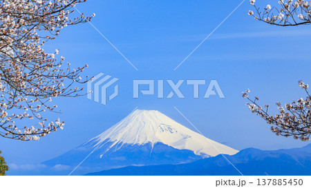 駿河湾越しで見る伊豆半島西伊豆の沼津市西浦から見る冠雪した富士山　 137885450