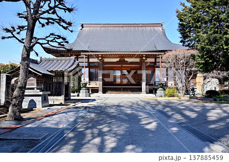 岩槻散歩：日蓮宗 学蔵寺　本堂 137885459