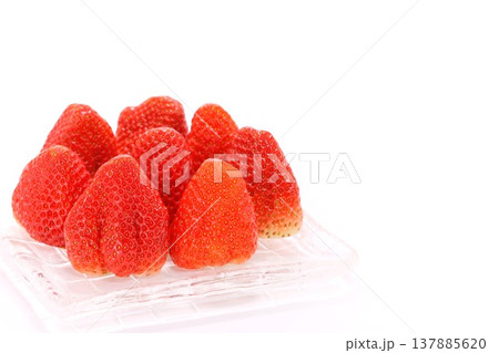 大きいイチゴ　紅ほっぺ　静岡県産　デザート　明るい背景 137885620