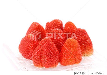 大きいイチゴ　紅ほっぺ　静岡県産　デザート　明るい背景 137885622