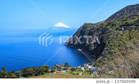 井田から望む、駿河湾と富士山 井田から望む、駿河湾と富士山 137885690