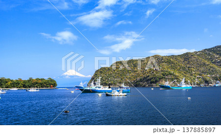 伊豆半島西伊豆戸田湾の春 137885897