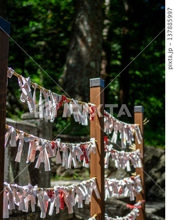 【奈良井宿】鎮神社に結ばれたおみくじ 【奈良井宿】鎮神社に結ばれたおみくじ 137885997