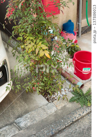 鬼門対策 南天 赤い実 玄関外構 日本家屋背景 鬼門対策 南天 赤い実 玄関外構 日本家屋背景 137886013