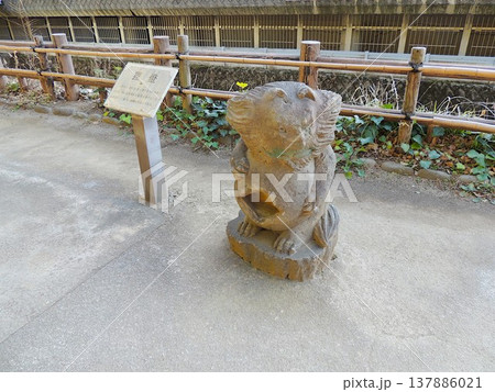 哲学堂公園 鬼燈 哲学堂公園 鬼燈 137886021