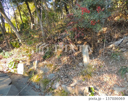 哲学堂公園 博物隄 哲学堂公園 博物隄 137886069