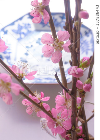 和風のイメージ画像［梅の枝と染付の皿］ 137886443