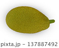 Jackfruit Isolated 137887492