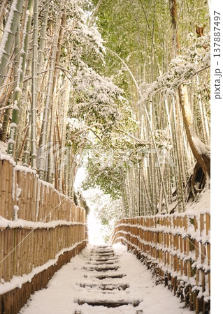 雪の積もった千葉県佐倉市ひよどり坂の竹林風景　Ver4 137887497
