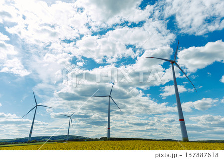 A field of wind turbines generating energy standing in a green field. Wind turbines in a yellow field somewhere in the countryside in Europe. 137887618