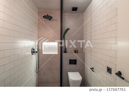Modern bathroom with a shower and toilet. The walls are tiled in light colors. A small plant is placed on a shelf. Minimalist design with sleek fixtures. Modern bathroom with a shower and toilet. The walls are tiled in light colors. A small plant is placed on a shelf. Minimalist design with sleek fixtures. 137887761