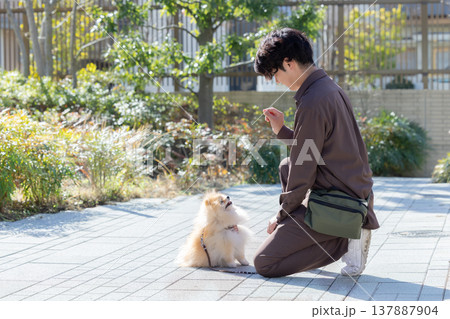犬のしつけをしているドッグトレーナー 犬のしつけをしているドッグトレーナー 137887904