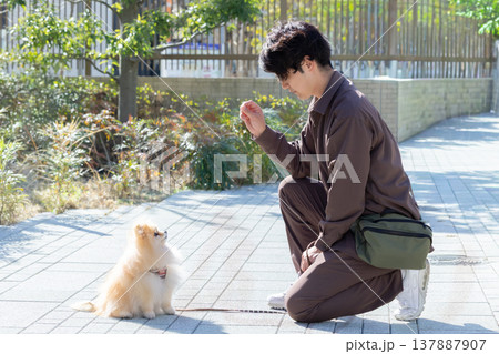 犬のしつけをしているドックトレーナー 犬のしつけをしているドックトレーナー 137887907