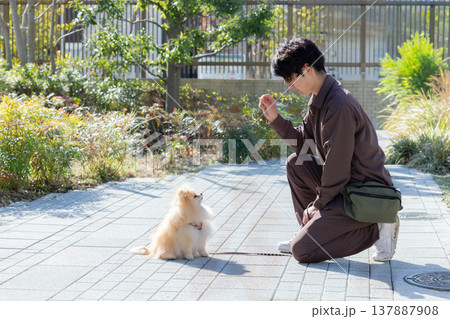 犬のしつけをしているドッグトレーナー 犬のしつけをしているドッグトレーナー 137887908