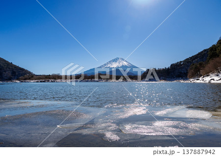 精進湖の早春の風景　結氷の湖面越しに観る子抱富士　 山梨県 137887942