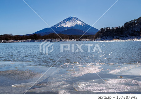 精進湖の早春の風景 結氷の湖面越しに観る子抱富士 山梨県 精進湖の早春の風景 結氷の湖面越しに観る子抱富士 山梨県 137887945