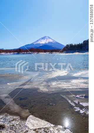 精進湖の早春の風景 結氷の湖面越しに観る子抱富士 山梨県 精進湖の早春の風景 結氷の湖面越しに観る子抱富士 山梨県 137888058