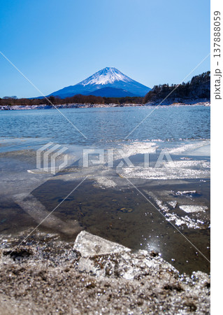 精進湖の早春の風景 結氷の湖面越しに観る子抱富士 山梨県 精進湖の早春の風景 結氷の湖面越しに観る子抱富士 山梨県 137888059